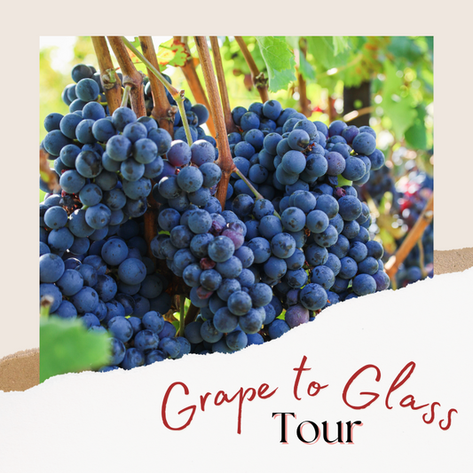 BTL Grape to Glass Tour